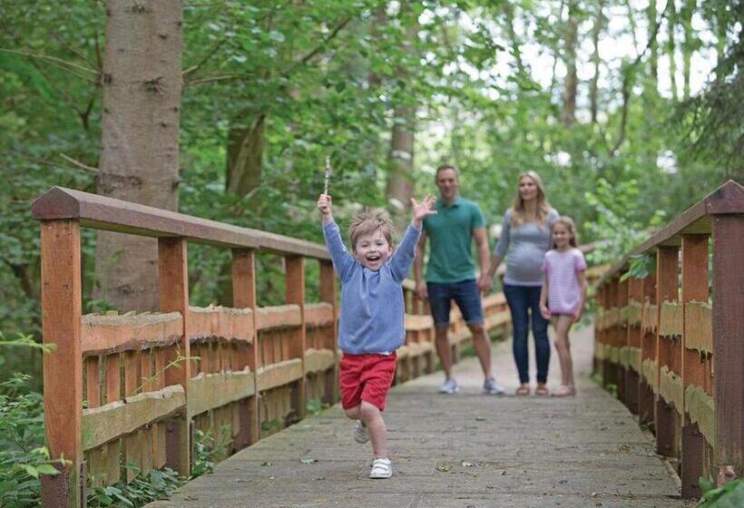 침실 3개 주택, Woodland Park Lodges