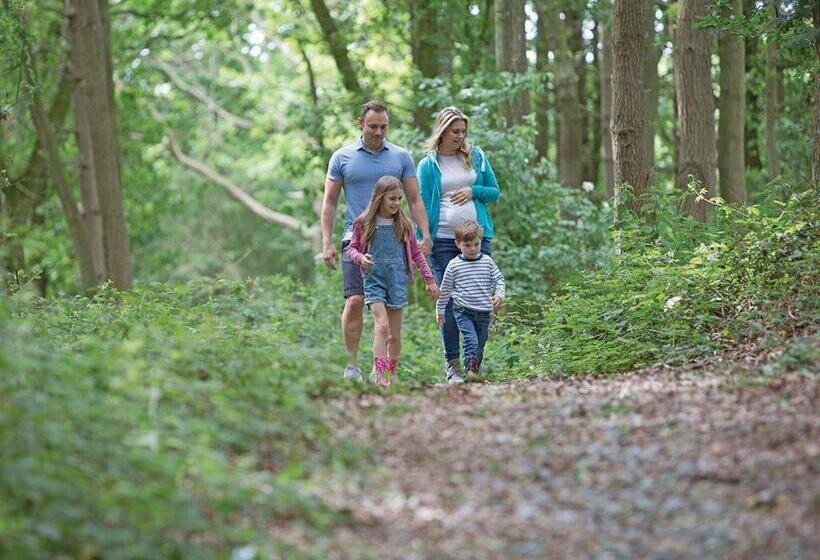 침실 3개 주택, Woodland Park Lodges