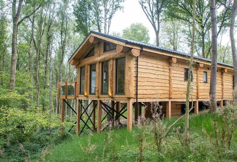 침실 3개 주택, Woodland Park Lodges