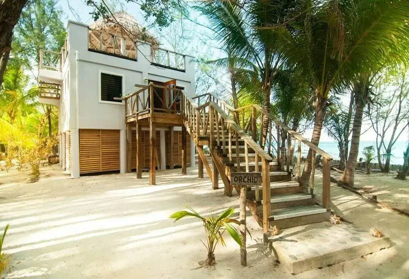 キャビン, Thatch Caye, A Muy Ono Resort