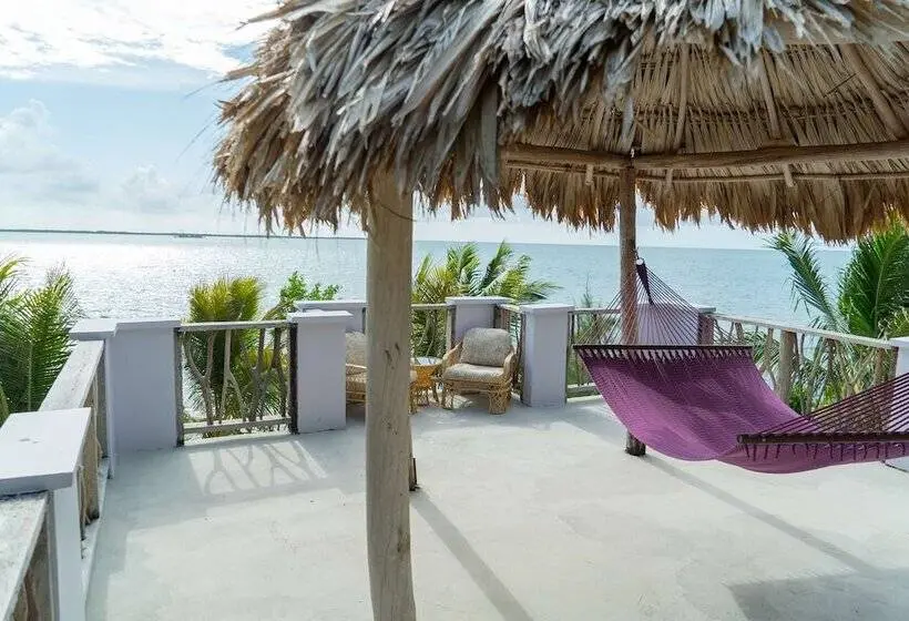 キャビン, Thatch Caye, A Muy Ono Resort