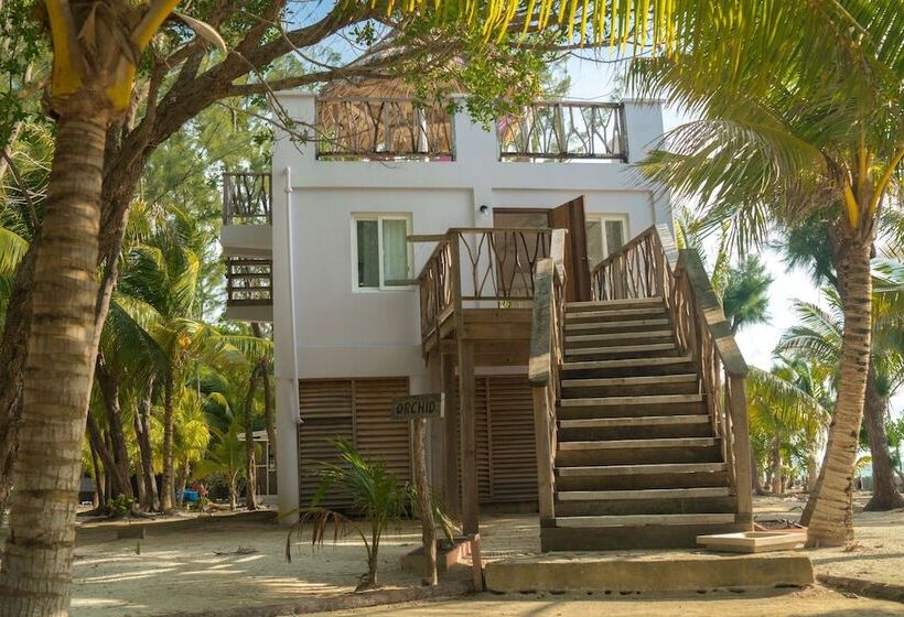 בקתה, Thatch Caye, A Muy Ono Resort