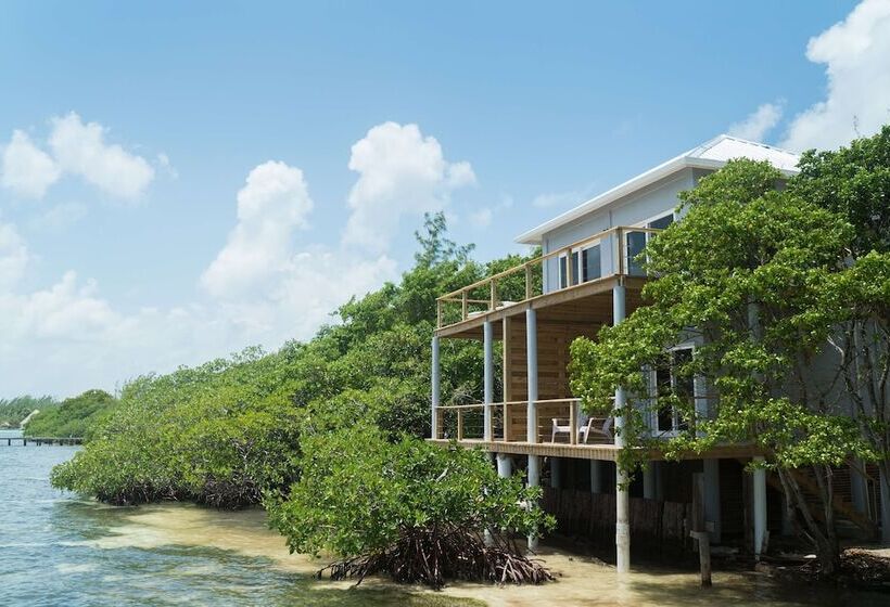 בקתה, Thatch Caye, A Muy Ono Resort