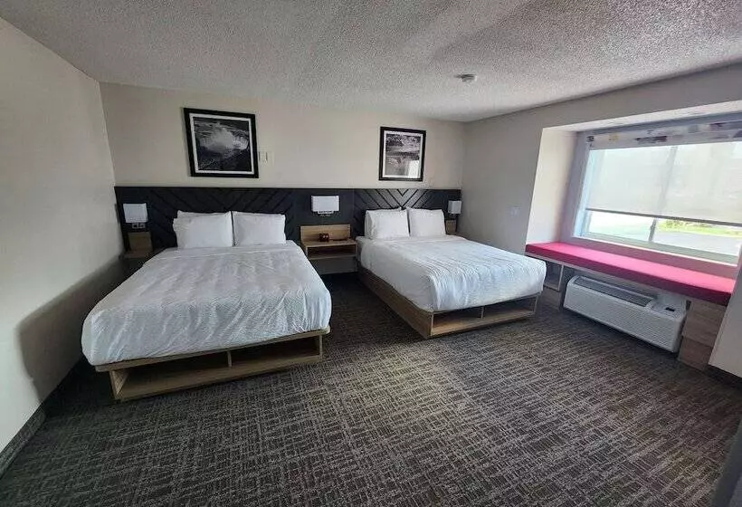 スイート, Best Western Buffalo Inn & Suites