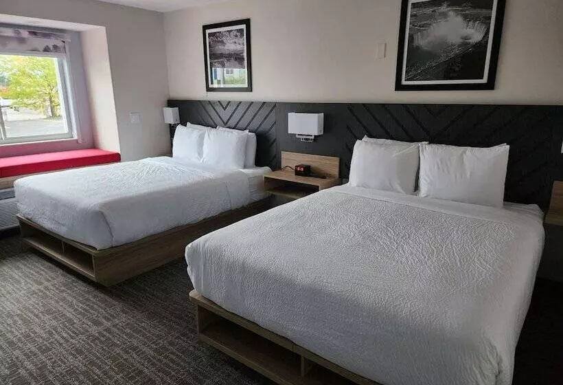 身障者適用スイートルーム, Best Western Buffalo Inn & Suites