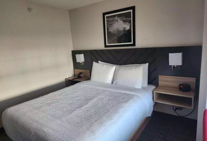 スタンダードルーム, Best Western Buffalo Inn & Suites