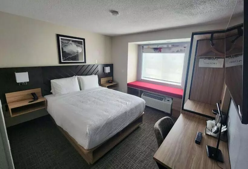 スタンダードルーム, Best Western Buffalo Inn & Suites