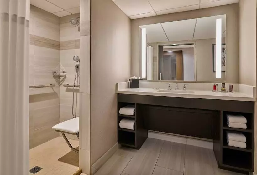 اتاق استاندارد با تخت دوبل, Denver Marriott Tech Center