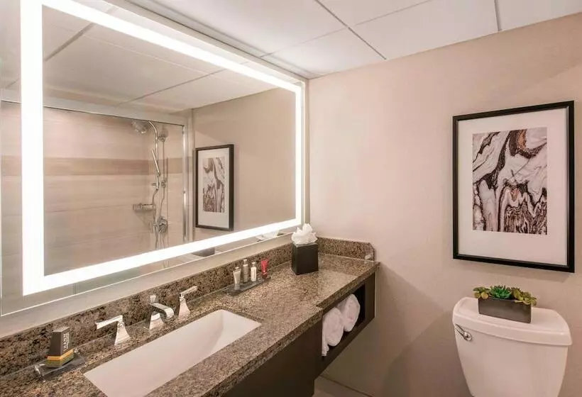 اتاق استاندارد با تخت دوبل, Denver Marriott Tech Center