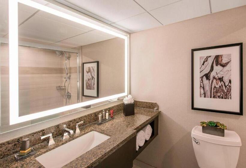 חדר סטנדרט מיטה זוגית, Denver Marriott Tech Center