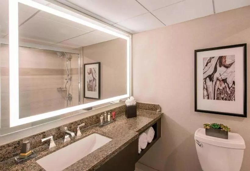 اتاق استاندارد با تخت دوبل, Denver Marriott Tech Center