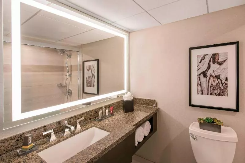 اتاق استاندارد با تخت بزرگ, Denver Marriott Tech Center