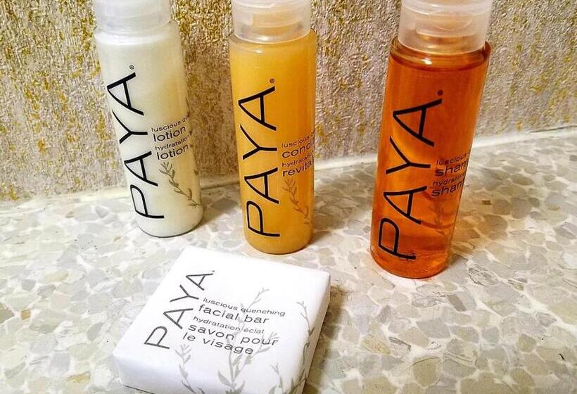 جناح ديلوكس سرير كينج, Monte Villa