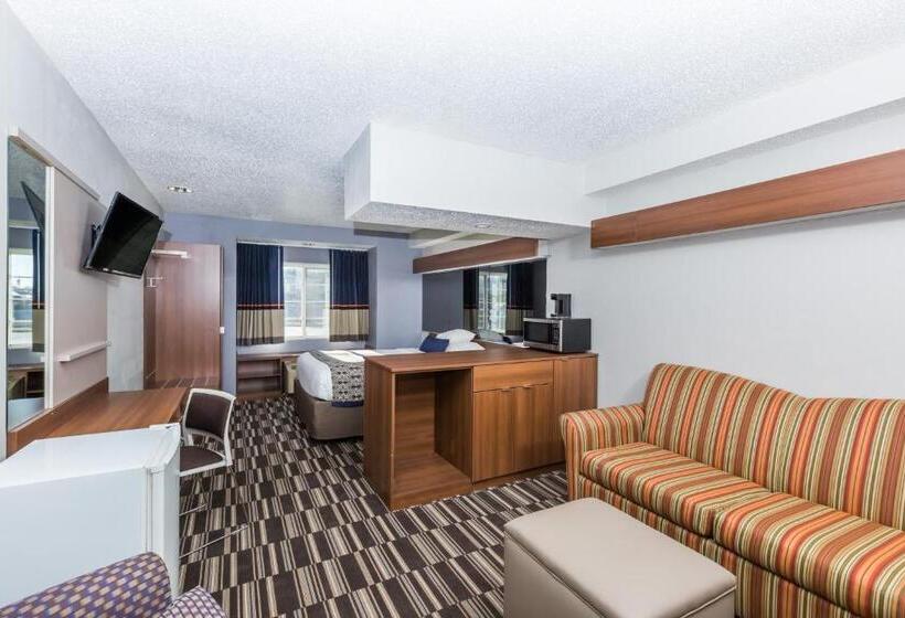 スタンダードスタジオ, Microtel Inn & Suites By Wyndham Sioux Falls