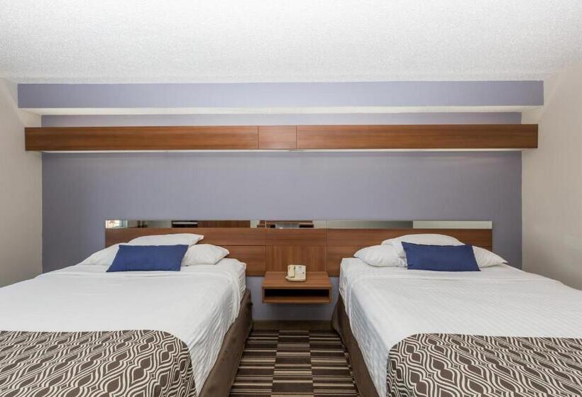 适用于残疾人士的豪华房间, Microtel Inn & Suites By Wyndham Sioux Falls