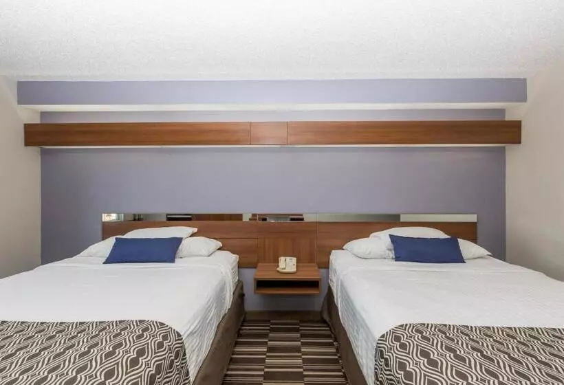 障害者適応デラックスルーム, Microtel Inn & Suites By Wyndham Sioux Falls