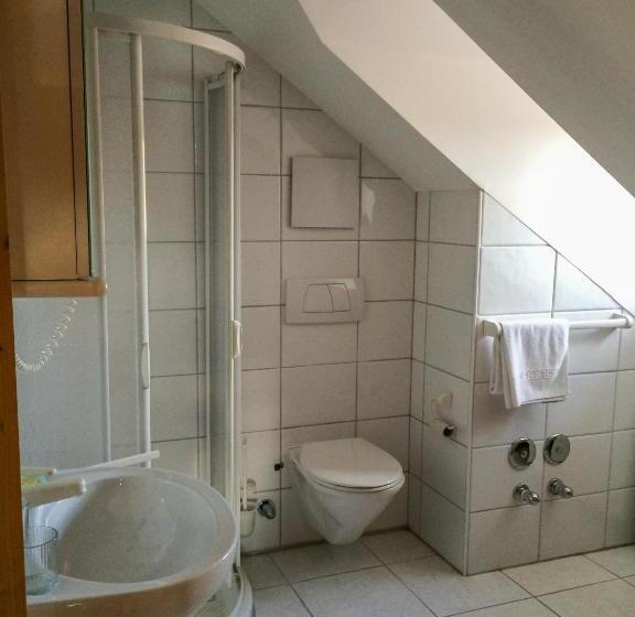 غرفة قياسية مطلّة علي البحيرة, Schweizerhof Am See