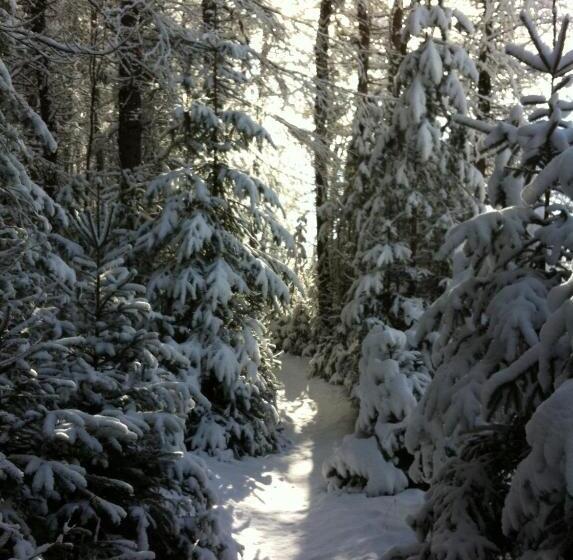 غرفة قياسية فردية, Haus Tirolerland