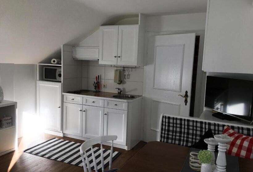 شقة غرفة واحدة, Haus Tirolerland