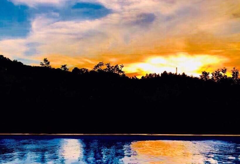 اتاق خانوادگی, Guest House Marani