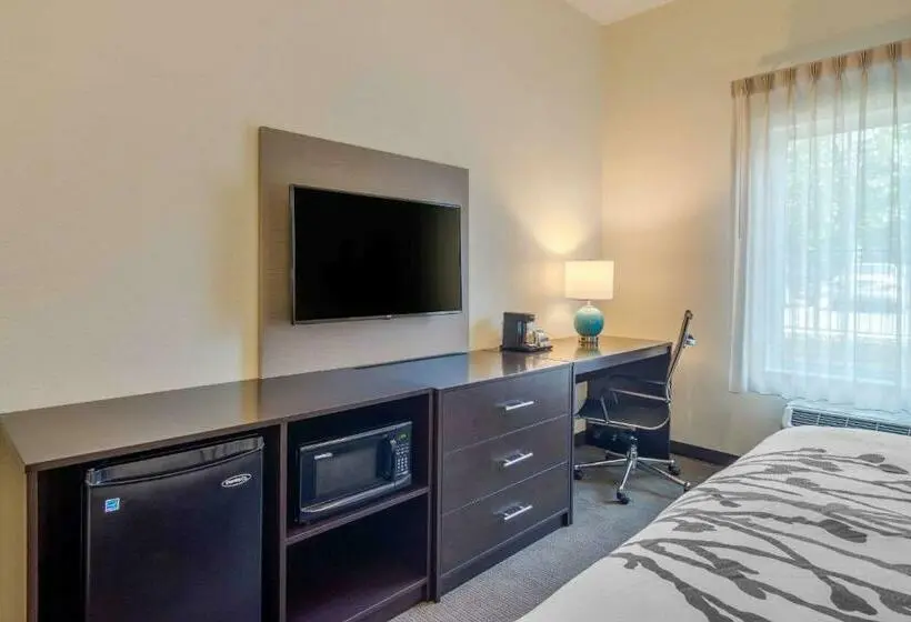 キングサイズベッドのスタンダードルーム, Sleep Inn Newnan Atlanta South