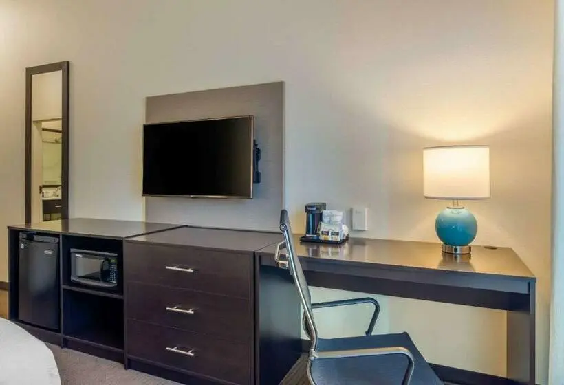 キングサイズベッドのスタンダードルーム, Sleep Inn Newnan Atlanta South
