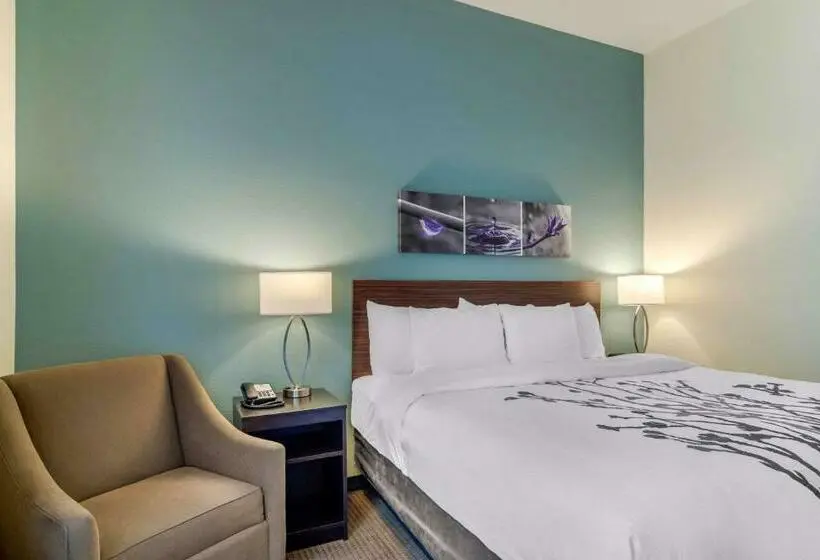 キングサイズベッドのスタンダードルーム, Sleep Inn Newnan Atlanta South