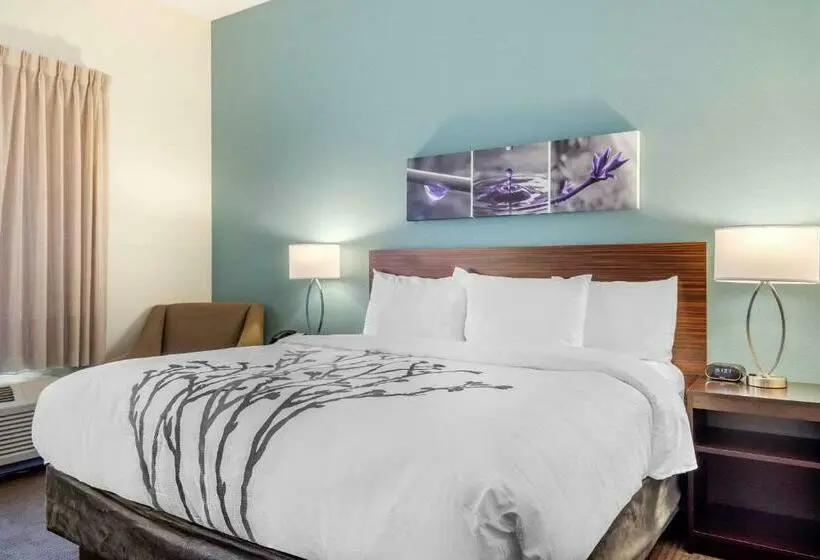 キングサイズベッドのスタンダードルーム, Sleep Inn Newnan Atlanta South