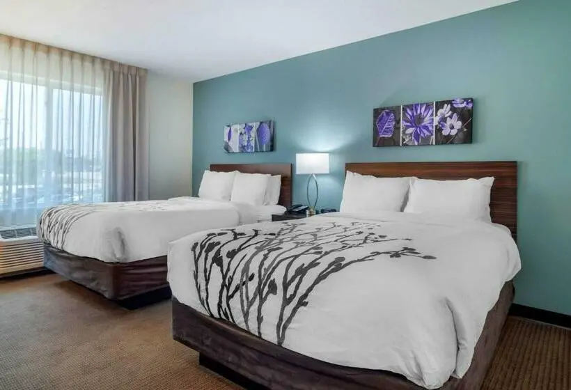 スタンダードルーム, Sleep Inn Newnan Atlanta South