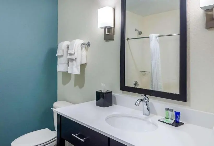スタンダードルーム, Sleep Inn Newnan Atlanta South