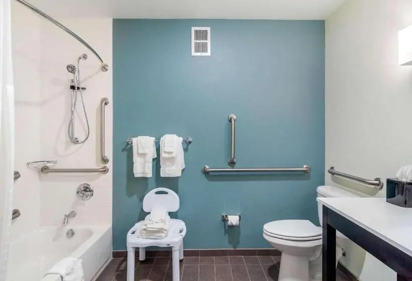 身障者適用キングサイズベッドルーム, Sleep Inn Newnan Atlanta South