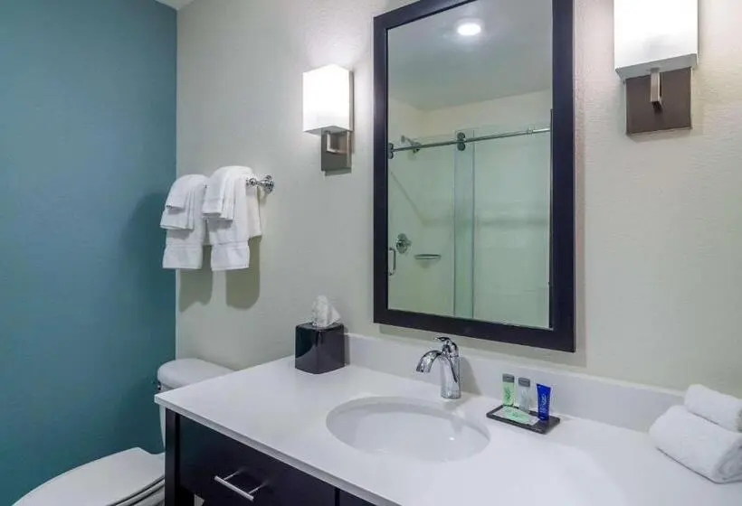 身障者適用キングサイズベッドルーム, Sleep Inn Newnan Atlanta South