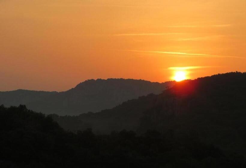 Номер Стандарт, Les Hauts D'issensac