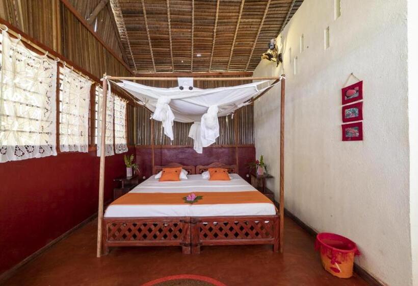 اتاق راحتی, Floraly Komba