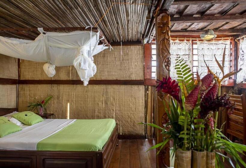 اتاق استاندارد, Floraly Komba