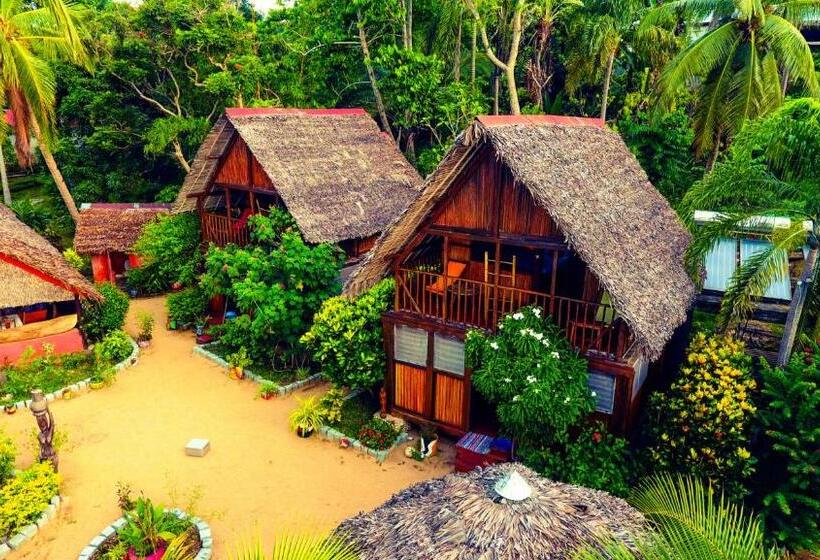 اتاق استاندارد, Floraly Komba