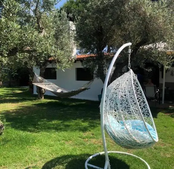 بنگله خانوادگی, Oasis