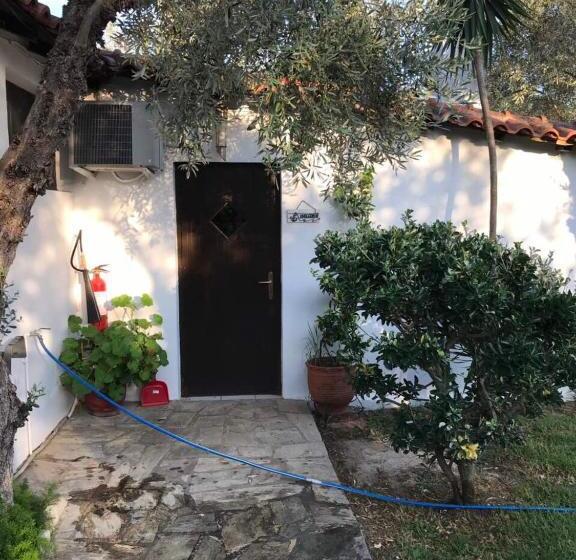 패밀리 방갈로, Oasis