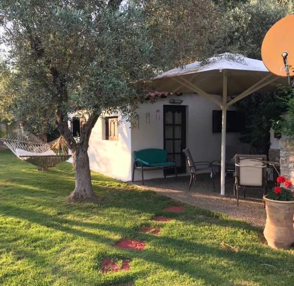 패밀리 방갈로, Oasis