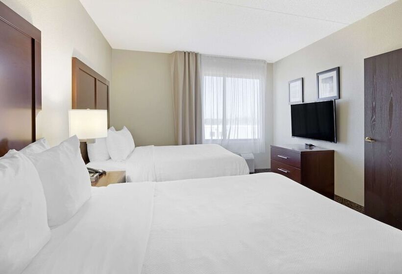 ２ダブルベッドのスタンダードルーム, Comfort Inn & Suites