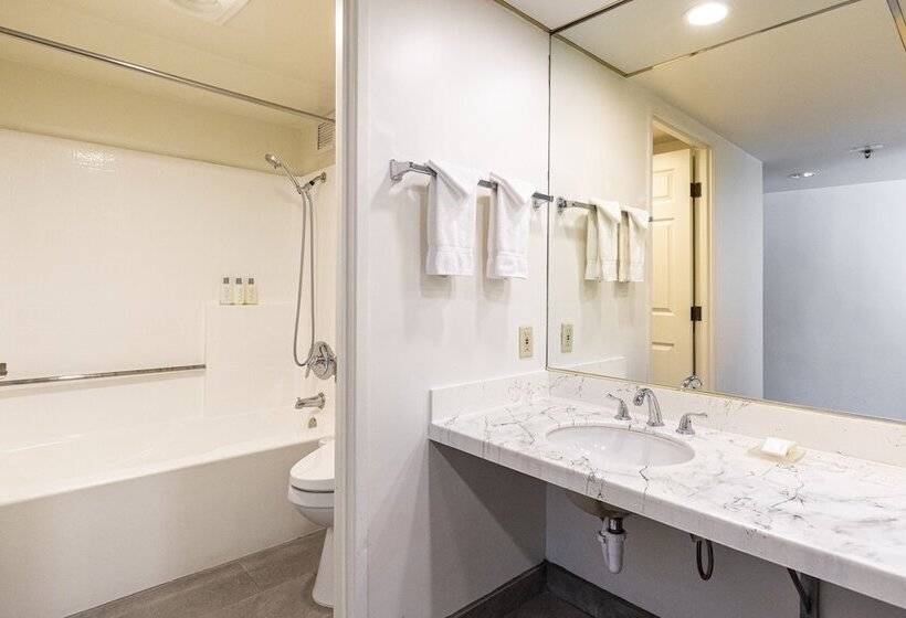 스탠다드 룸, New Gardena