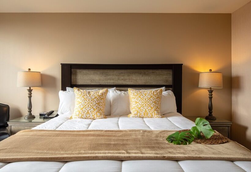 スタンダードルーム, New Gardena