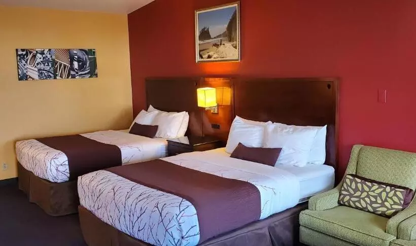デラックスルーム, Olympic Inn & Suites