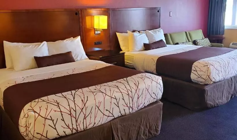デラックスルーム, Olympic Inn & Suites