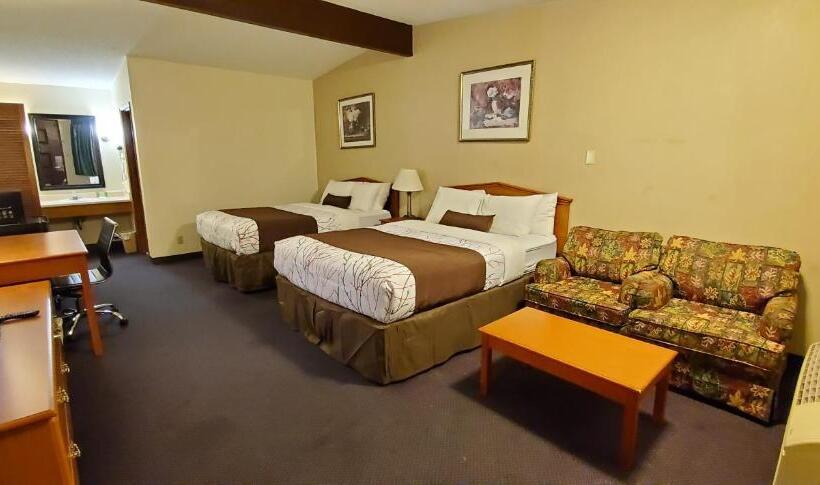 디럭스 룸, Olympic Inn & Suites