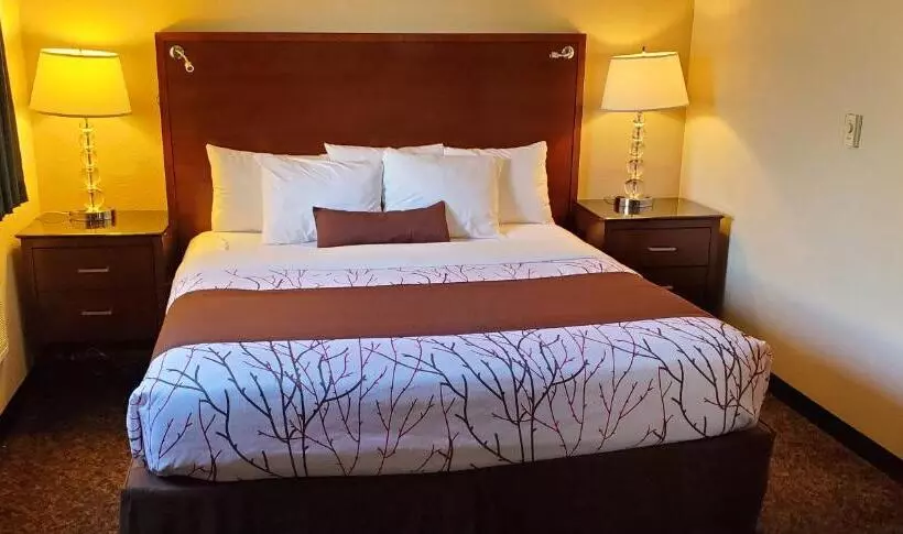 浴室共有ファミリールーム, Olympic Inn & Suites