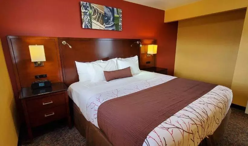 １ベッドルームのデラックスアパートメント, Olympic Inn & Suites