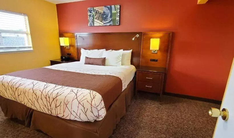 １ベッドルームのデラックスアパートメント, Olympic Inn & Suites