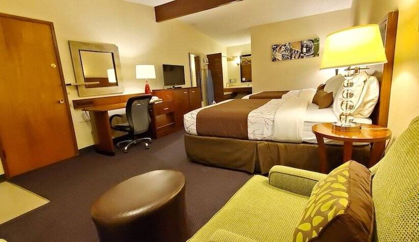 디럭스 룸, Olympic Inn & Suites