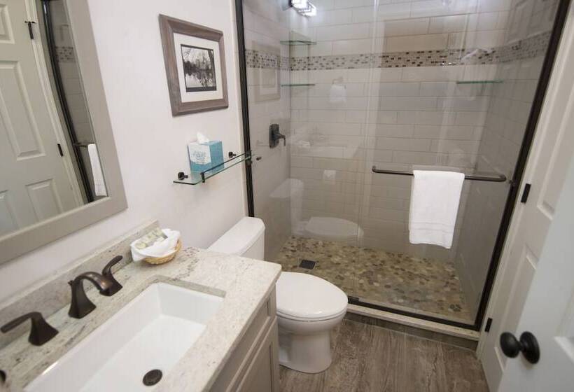 آپارتمان 3 خوابه, Winterplace On Okemo Mountain